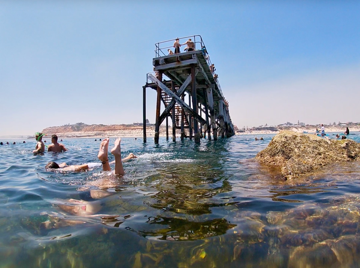 Port Noarlunga Swimmers Snorkelling