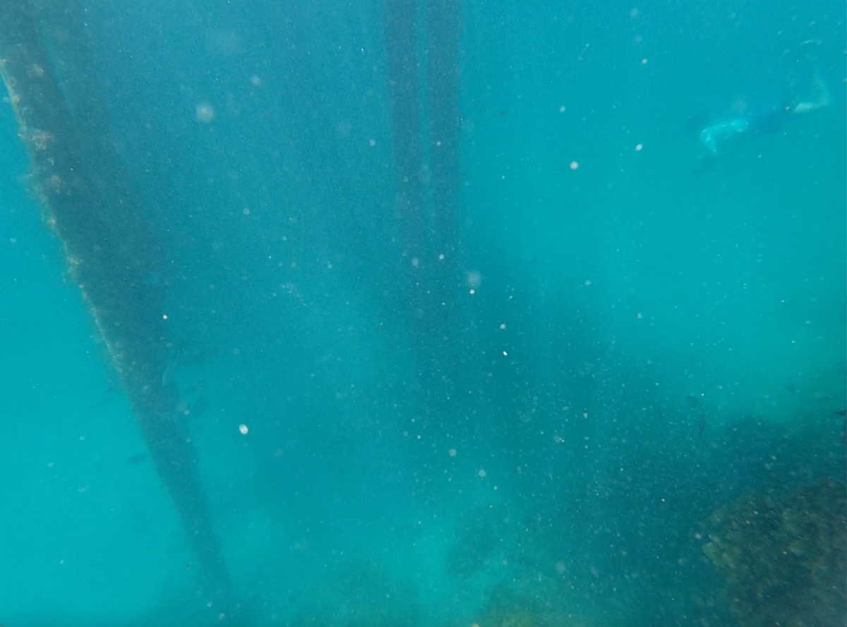 Underneath Port Noarlunga Jetty Underwater Dive