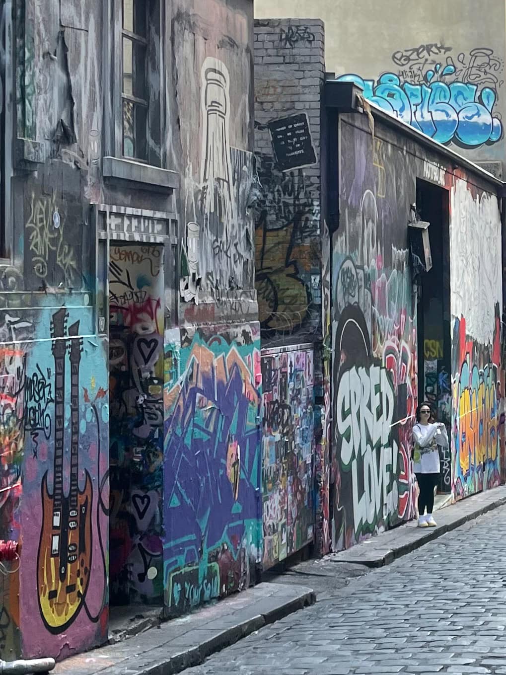 Melbourne Street Art Hosier Lane Walls filled with Graffiti