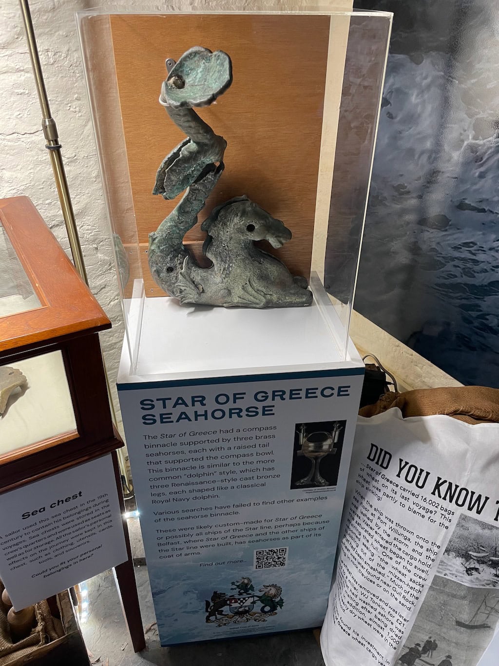 Star of Greece Seahorse Display Willunga Museum