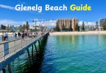 Glenelg Beach Guide