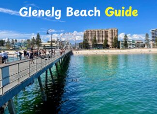 Glenelg Beach Guide