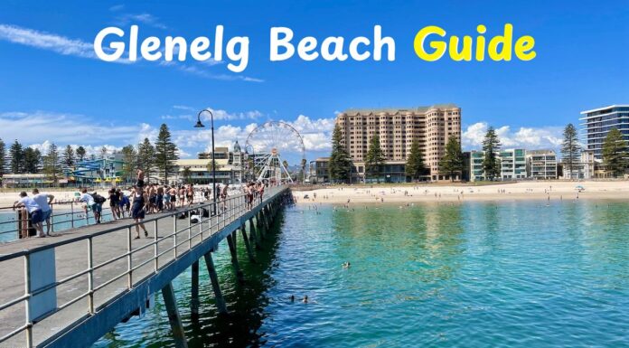 Glenelg Beach Guide