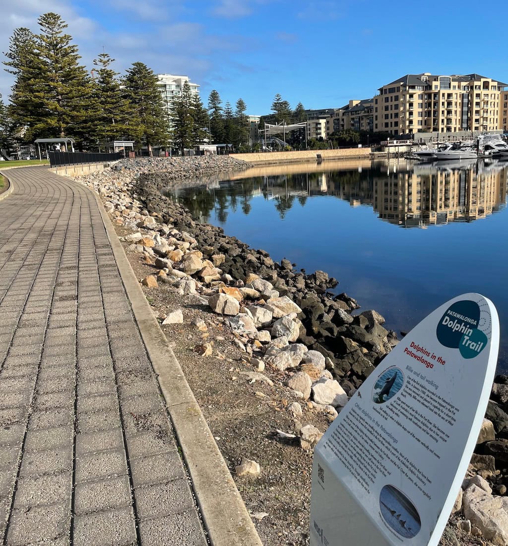 Patawalonga Dolphin Trail Glenelg