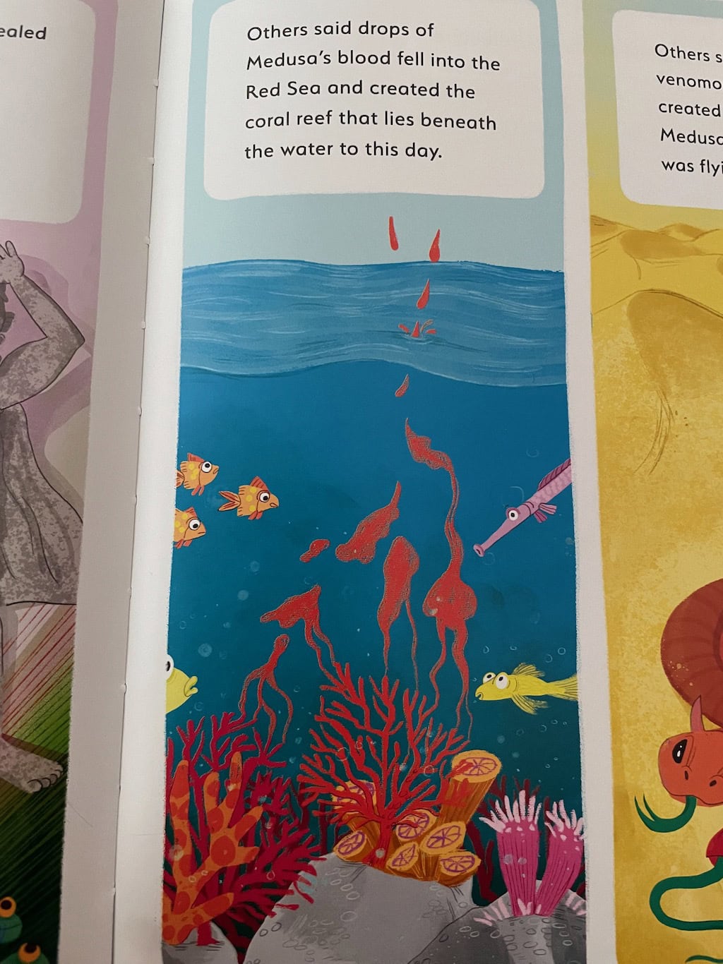 Medusa Little Myths Red Sea Coral Reef Creation Story