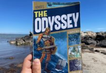 Homer’s The Odyssey: Kids’ Book Review & Summary Homers The Odyssey A Graphic Novel