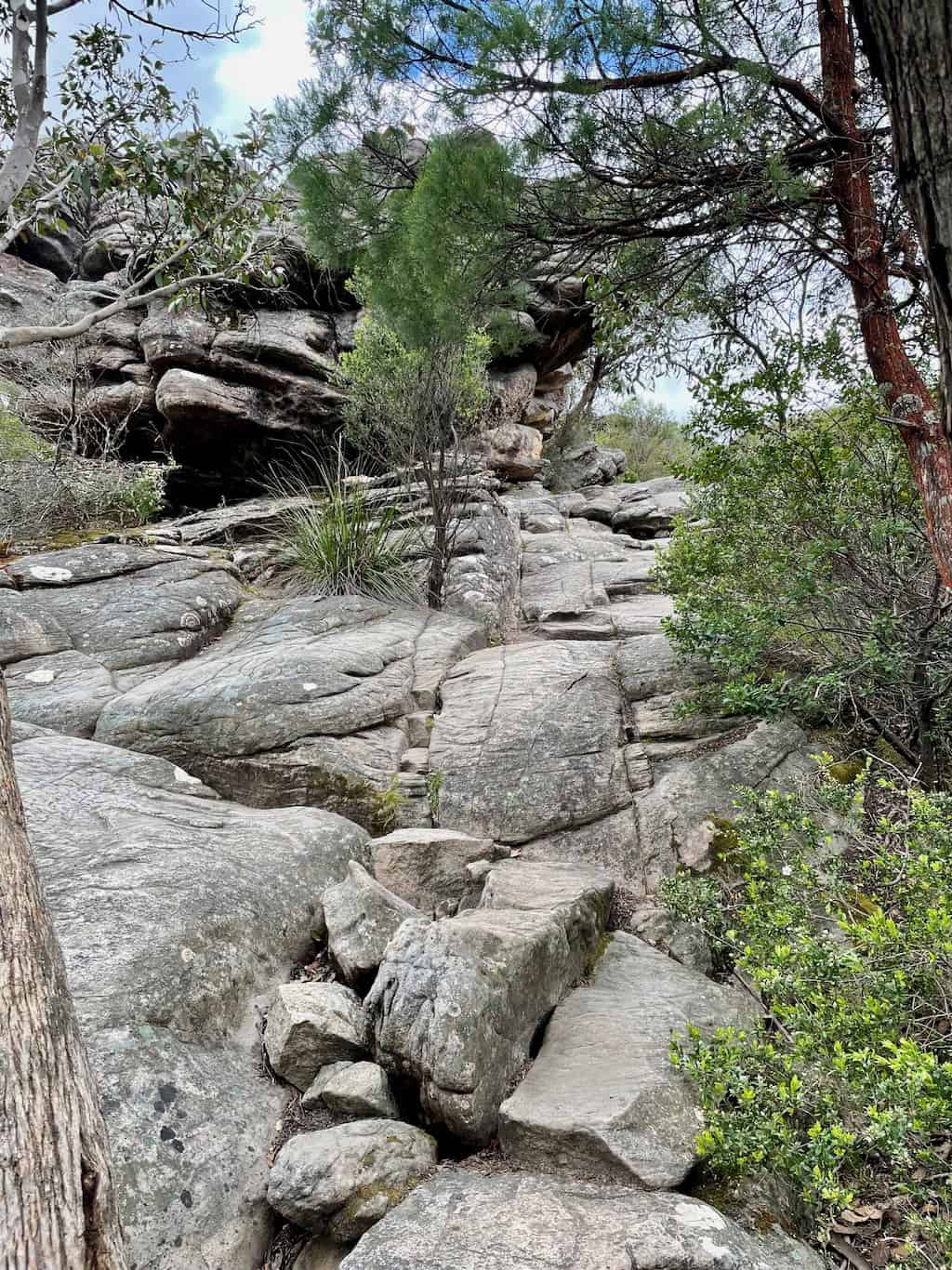Pinnacle Walk Rocky Path Section