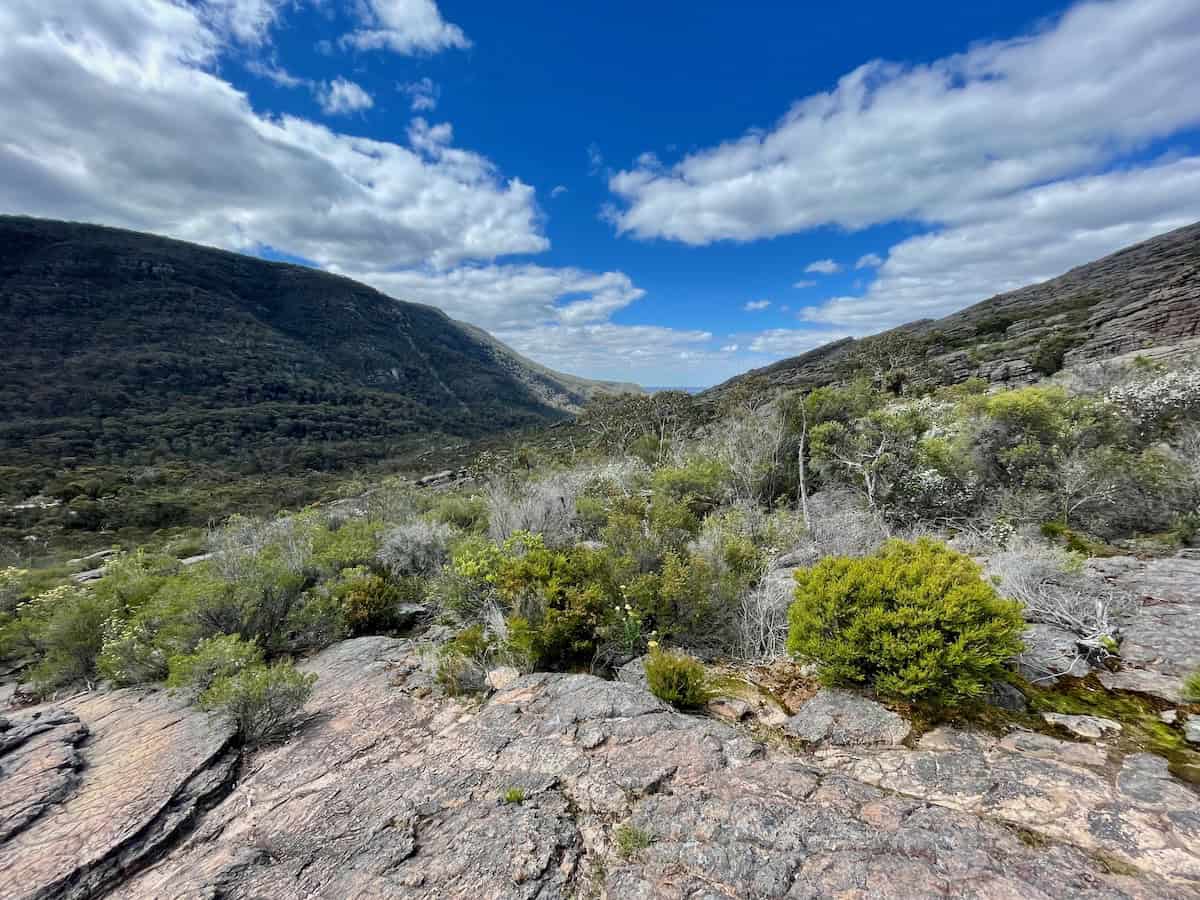 Wonderland Loop Landscape