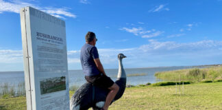 Best Epic Adelaide Road Trip Loop: Halls Gap, Grampians, Mount Gambier, Robe & Return Adelaide Road Trip Tourist Attraction Meningie Birdman of the Coorong
