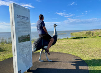 Adelaide Road Trip Tourist Attraction Meningie Birdman of the Coorong