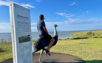 Best Epic Adelaide Road Trip Loop: Halls Gap, Grampians, Mount Gambier, Robe & Return Adelaide Road Trip Tourist Attraction Meningie Birdman of the Coorong