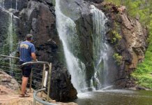 MACKENZIE FALLS Walk Guide: Waterfall Hike Tips & Highlights MacKenzie Falls Waterfall Grampians National Park