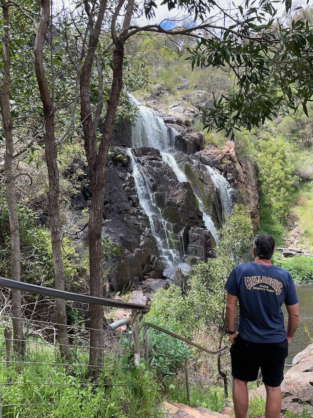 MacKenzie Waterfall View from Stairs