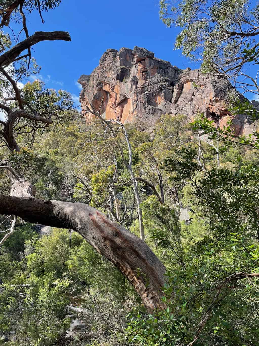 Mountain View Venus Baths Walk