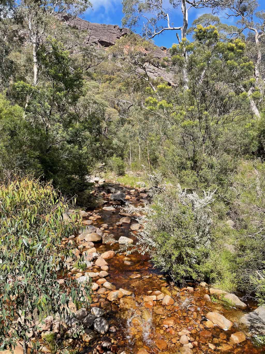 Stony Creek View from Halls Gap Botanic Gardens
