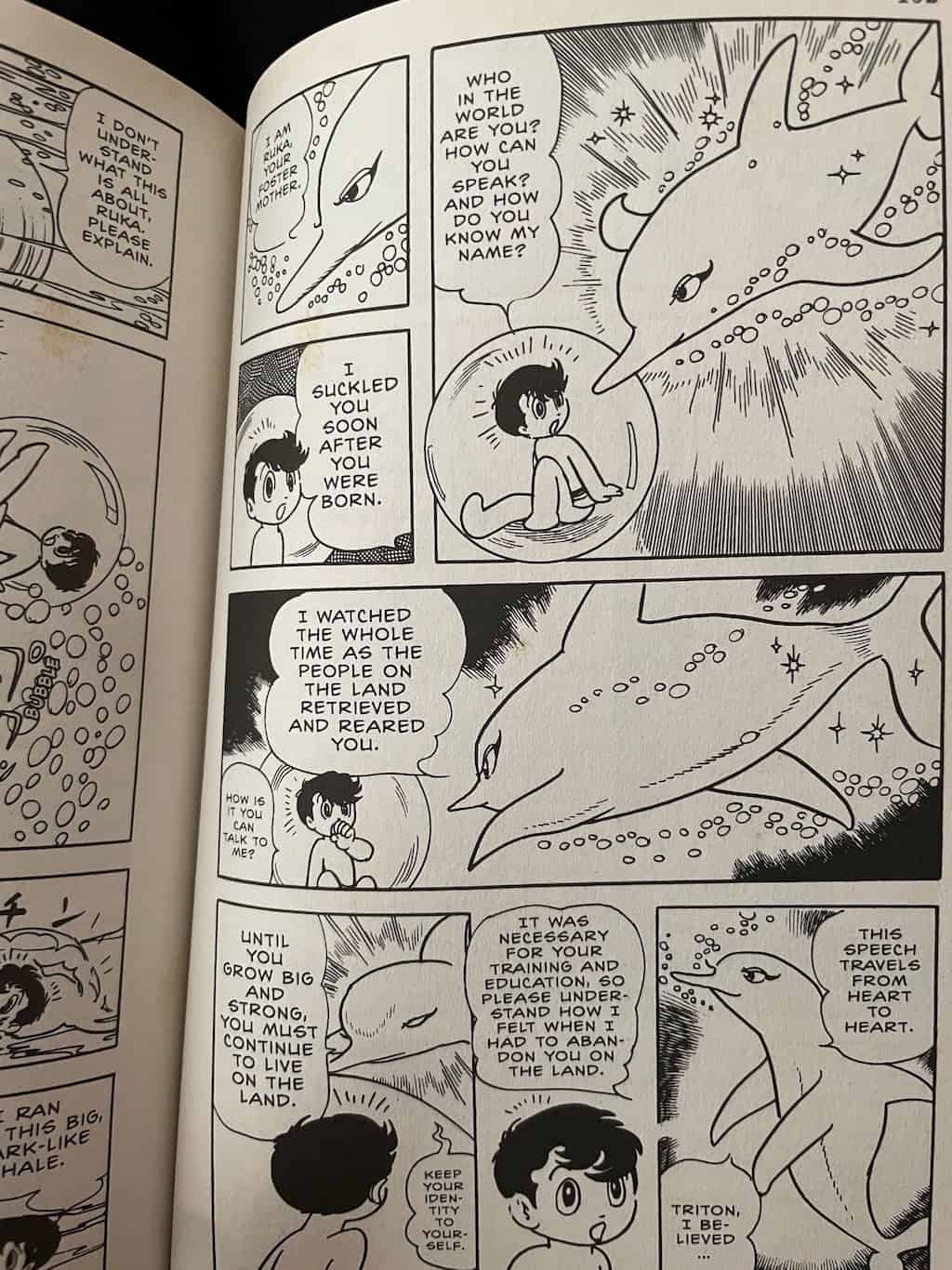 Triton of the Sea Dolphin Ruka