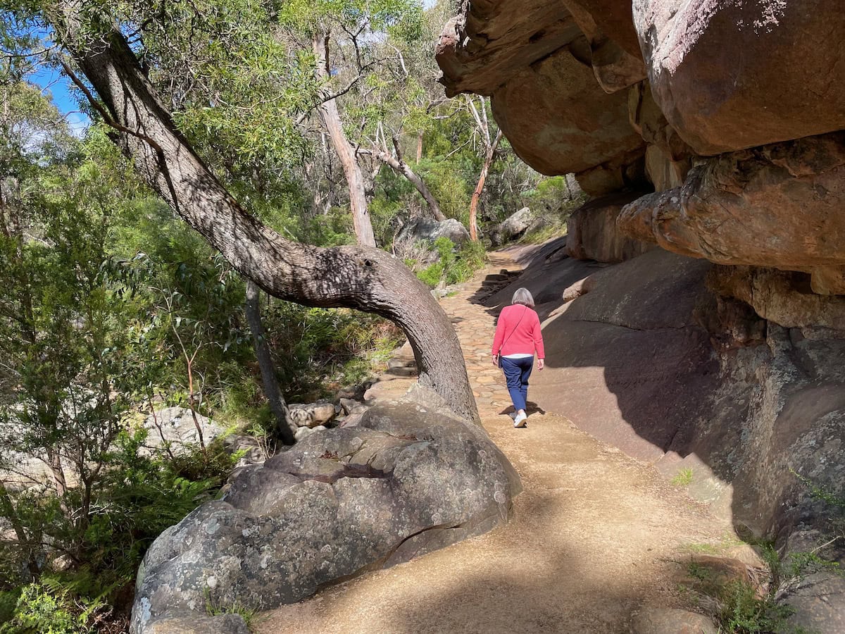 Venus Baths Loop Walk Track
