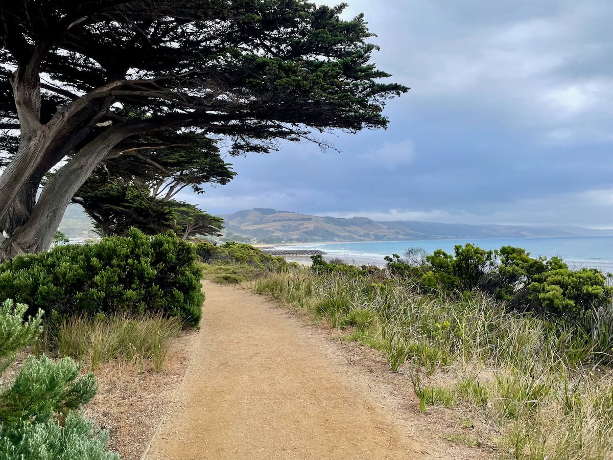 Apollo Bay Coastal Walk Track