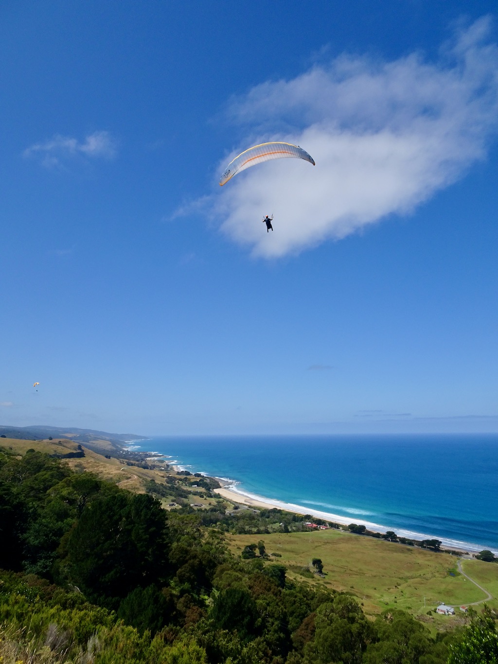 Apollo Bay Paragliding