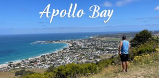 Apollo Bay Travel Guide