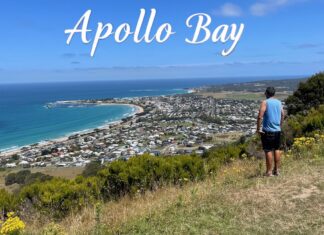 Apollo Bay Travel Guide