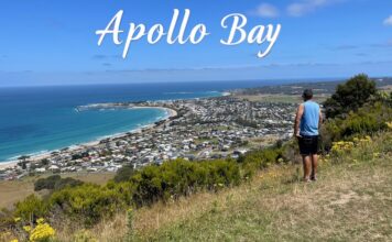 12 Best Things to Do in Apollo Bay: Ultimate Travel Guide Apollo Bay Travel Guide