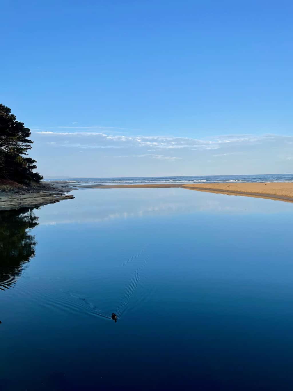Erskine River Estuary Lorne