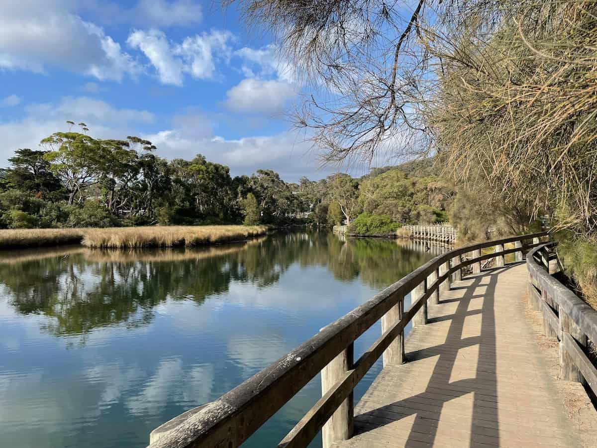 Erskine River Track near Lorne Swing Bridge