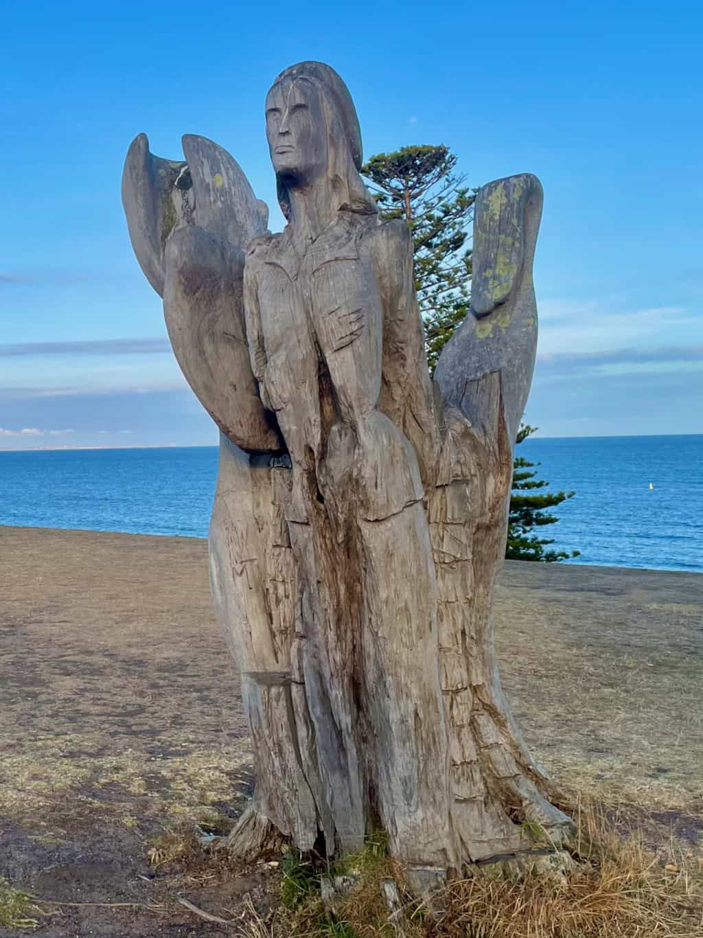 Inverlochy Figurehead Carving Dead Cypress Tree Torquay Sculptor Mark Trinham