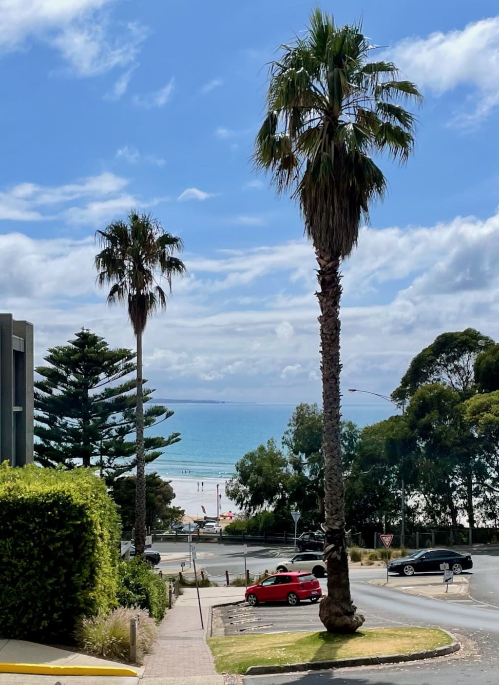 Lorne Paradise Palm Trees Great Ocean Road