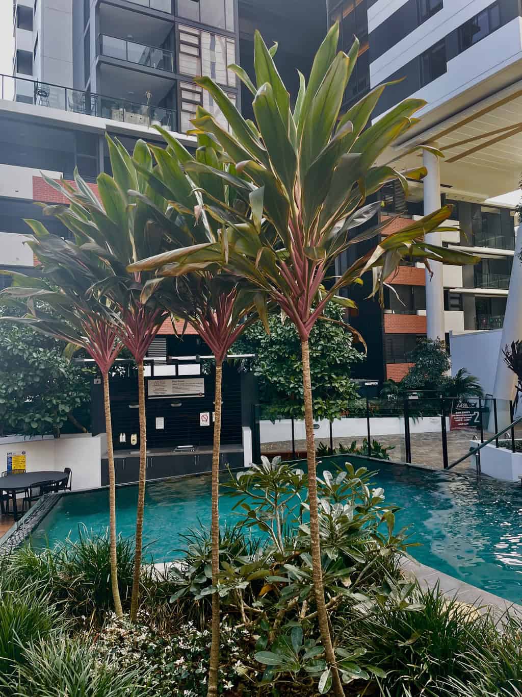 Arena Apartments CLLIX Pool Brisbane