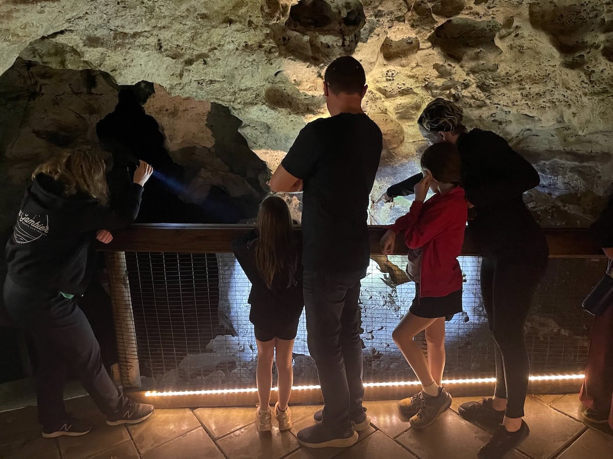 Engelbrecht Cave Tour Mount Gambier
