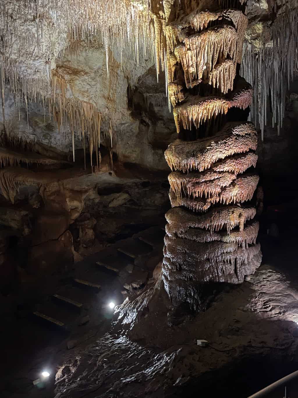 Tantanoola Cave Mount Gambier South Australia