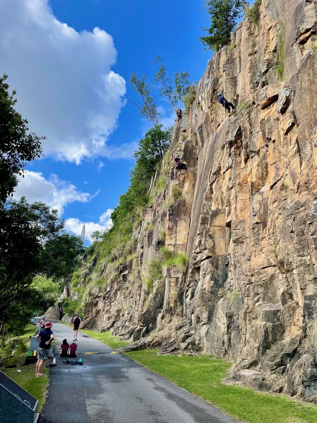 Cliffs Kangaroo Point Abseilers