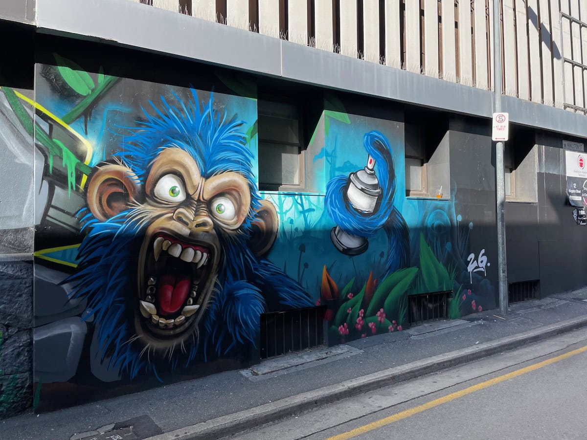Graffiti Artist Angry Monkey Wall Mural Kingston Street Adelaide