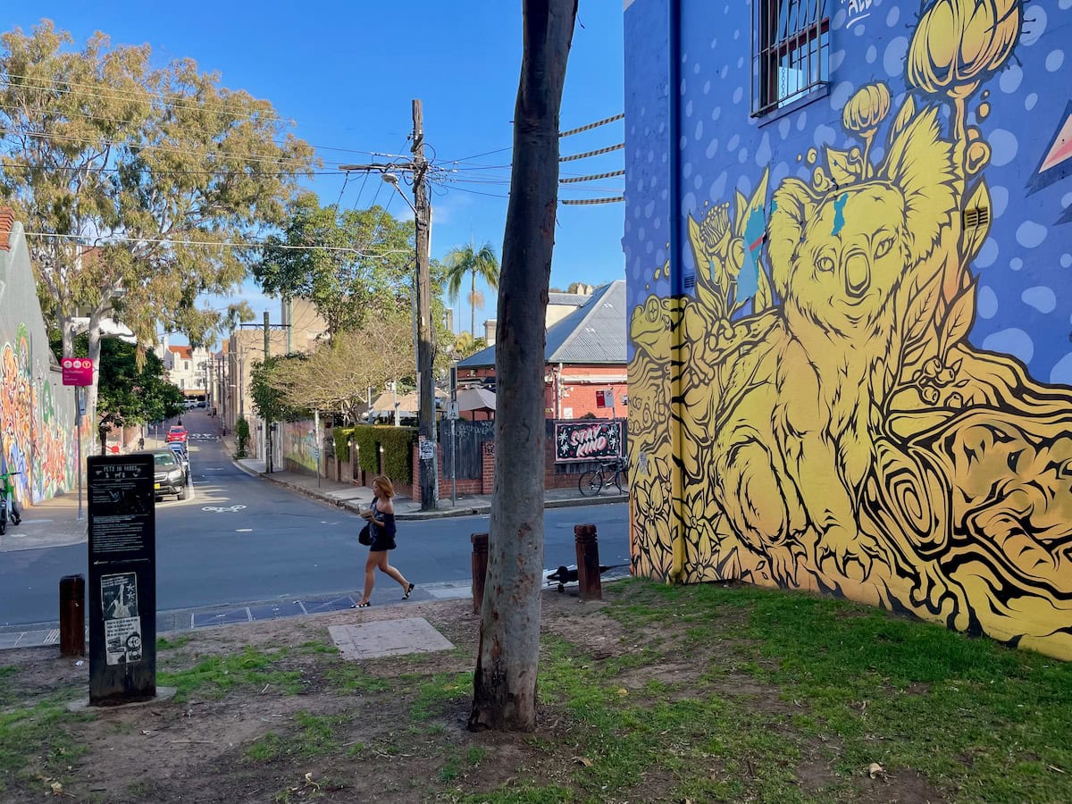 Mural Camperdown Park Gold Koala Newtown Street Art